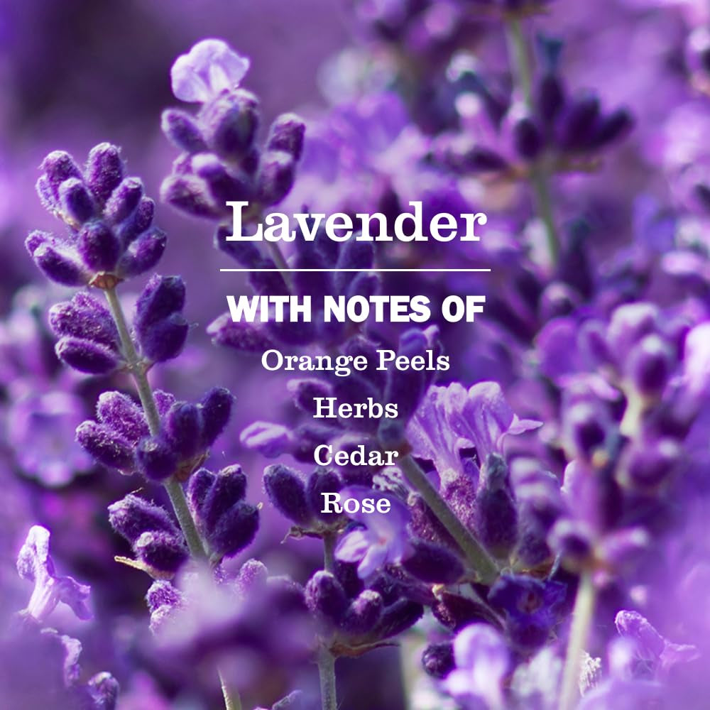 Clean Day, Hand Soap, Lavender Scent, 12.5 Fl Oz