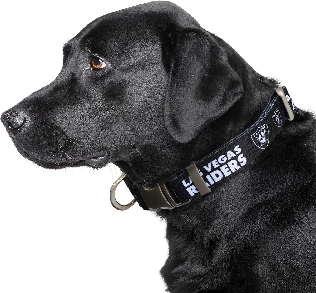 Littlearth NFL Las Vegas Raiders Pet Premium Collar, Team Color, Large