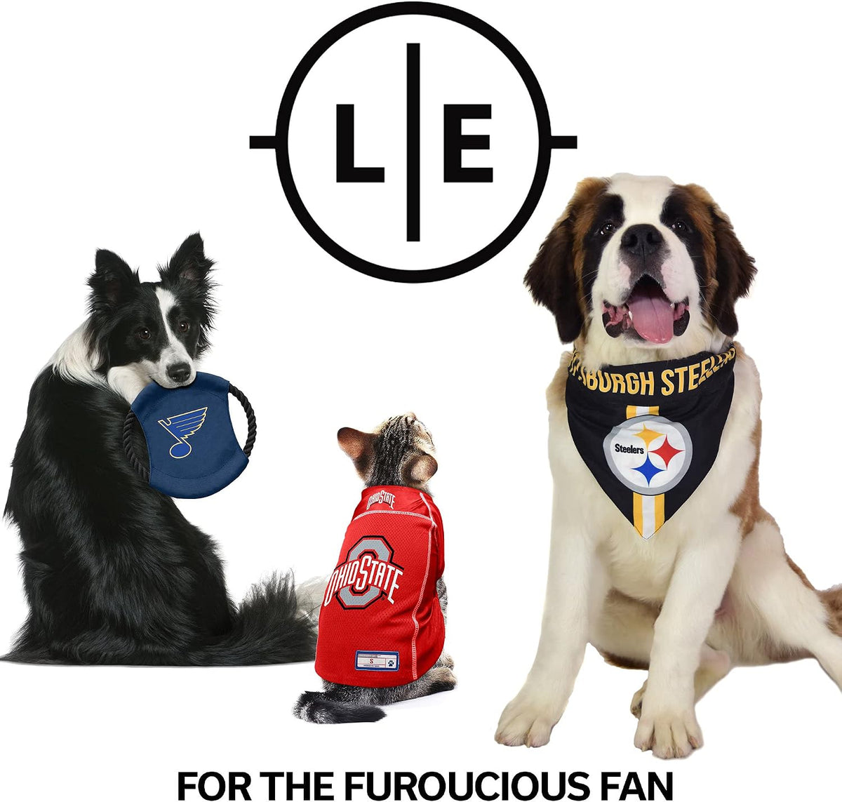 Littlearth NFL Las Vegas Raiders Pet Premium Collar, Team Color, Large