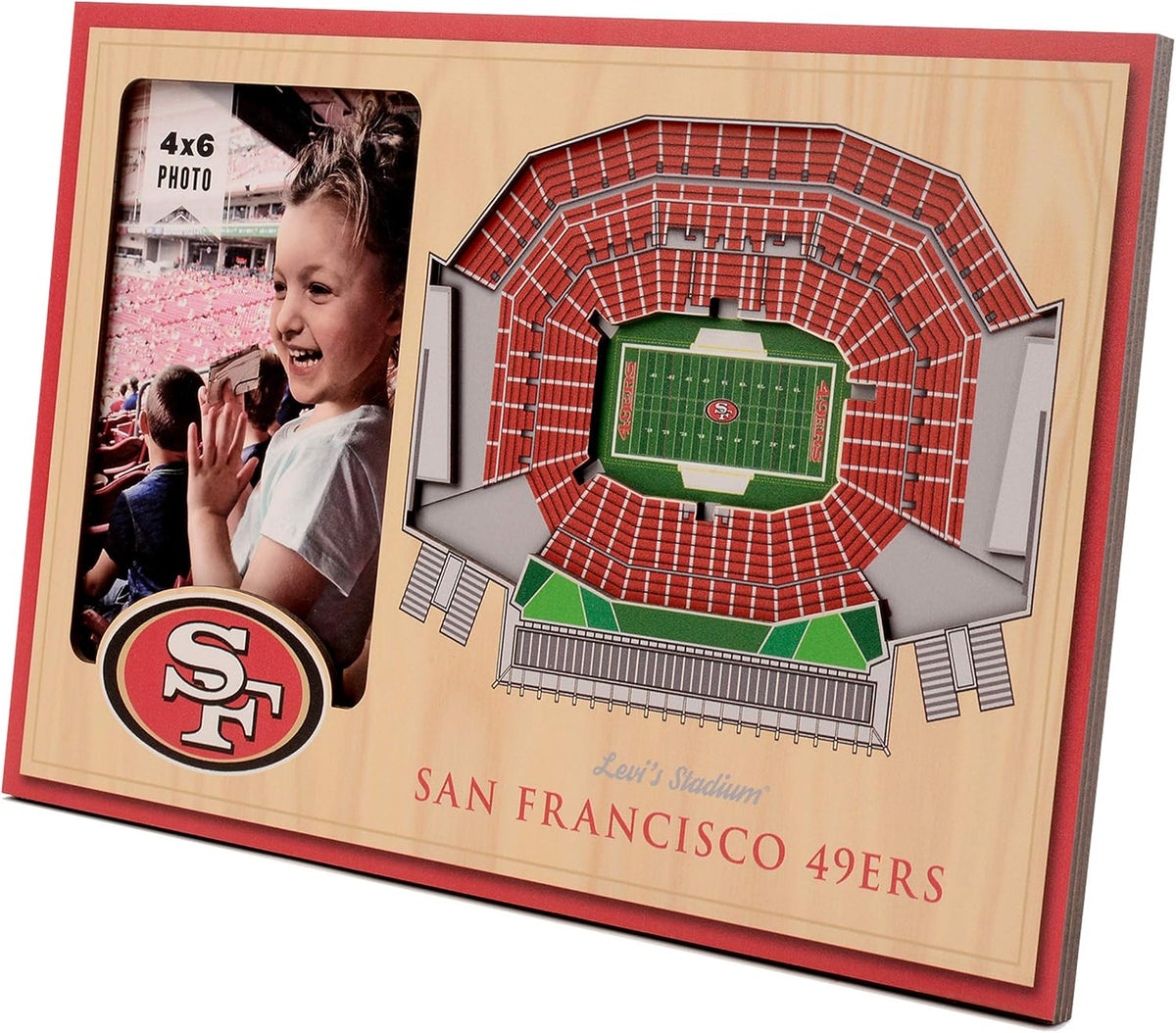 Youthefan NFL Las Vegas Raiders 3D Stadium Picture Frame